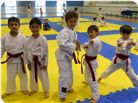 Judo (52).jpg